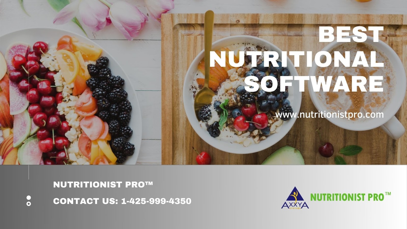 Creating Nutrition Software: